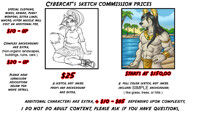 Taking 3 commissions!
