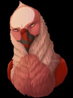 (Prize) Grumpy Eagle