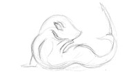 Sharkette