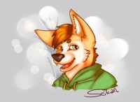 New Seikan Icon~