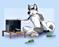 Now let me tighten that screw