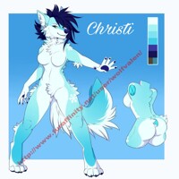 Christi reference sheet