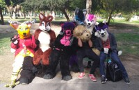 furmeet at torreon