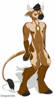 Custom Fursona