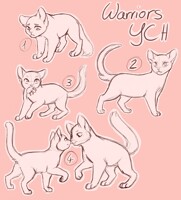 cat YCH open
