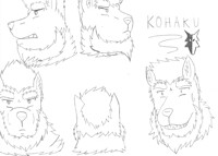 kohaku face refs