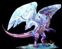 [NMA] Spectacle The Dragon!