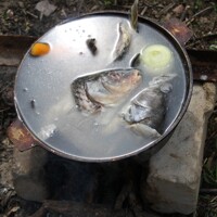 What big fish is good for - 1 :)
