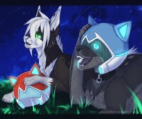 [ Young Paladins ]