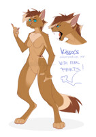 Kissa peets