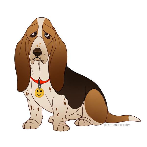 Furry store basset hound