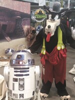 Me and Artoo-Detoo!