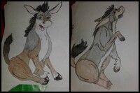 Donkey Transformation by GreenOctober13