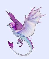 Wyvern