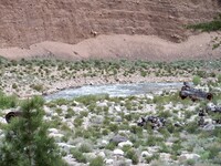 mountain stream
