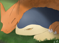 Sleep