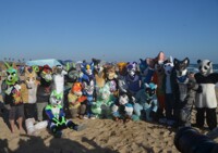 Sunset Beach Bonfire Fur Meet 2017