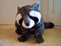 :D Racoon plushy