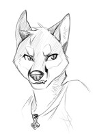 Bust sketch