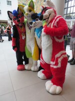 Eurofurence 23 / Con Day 1 / Photo 38
