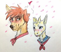 Do not be ashamed of this