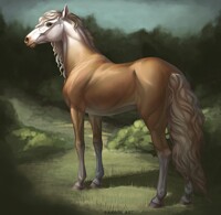 Uch horse