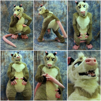 Possum Collab w/ HT!