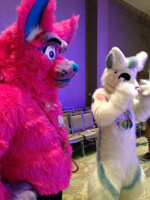Megaplex 2017 Finale Jyoo C Froot 4