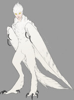 Mountain Harpy