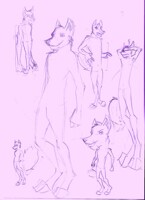 Slight Variations