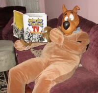 Just Scooby reading...