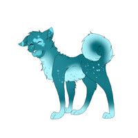 Floof