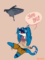 Stupid bird