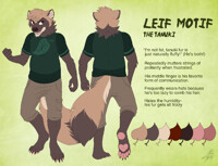 Leif, the Tanuki