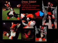 Cress cabbit fullsuit *sold*