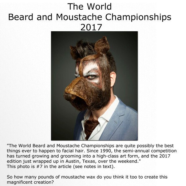 Beard Appreciation by TimidGrizzly -- Fur Affinity [dot] net