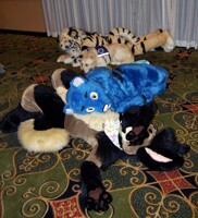 MFM 2017 - ?????, Salem, Extro & Paddlefoot