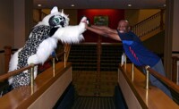 MFM 2017 - Gooseberry & Tavi