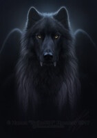 Experimental Portrait Commission - Grym