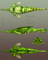 Fish Friday - Pituriaspis