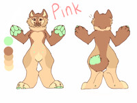 Pink 2017