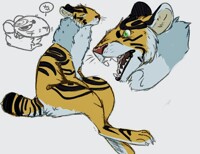 Nora the moody feline