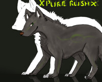 pure rush