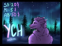 CLOSED★YCH auction★ Northern Lights