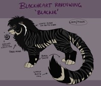 Blackheart Ravenwing ''Blackie'' ~