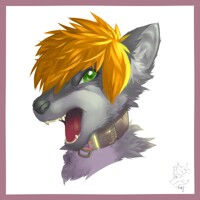 C.A : DarkWolf [30082017]