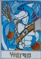 Card Character THE GUARDIAN WAR : Warun