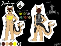 Commission - Joshua Reference Sheet