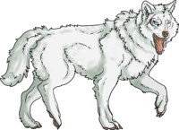 Moon Moon Secui Form