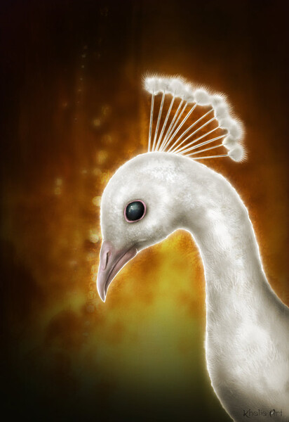 White Peacock by KhaliaArt -- Fur Affinity [dot] net